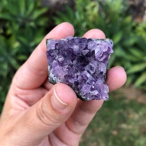 Raw Amethyst Crystal Cluster